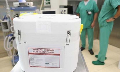 Soon, patients may not have to wait for available transplantable organs.