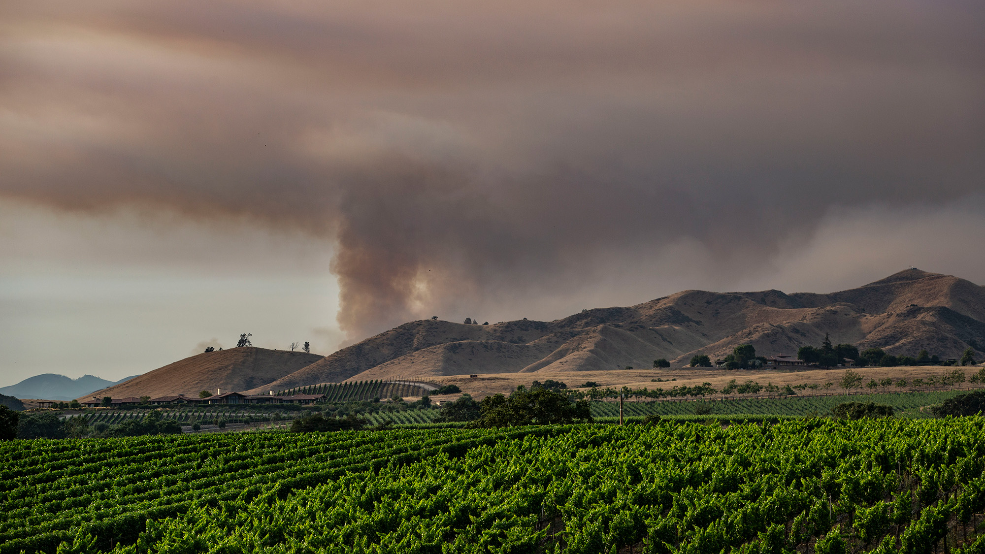 A large cloud of gray smoke is seen behind a mountain with rows of green crops in the foreground.