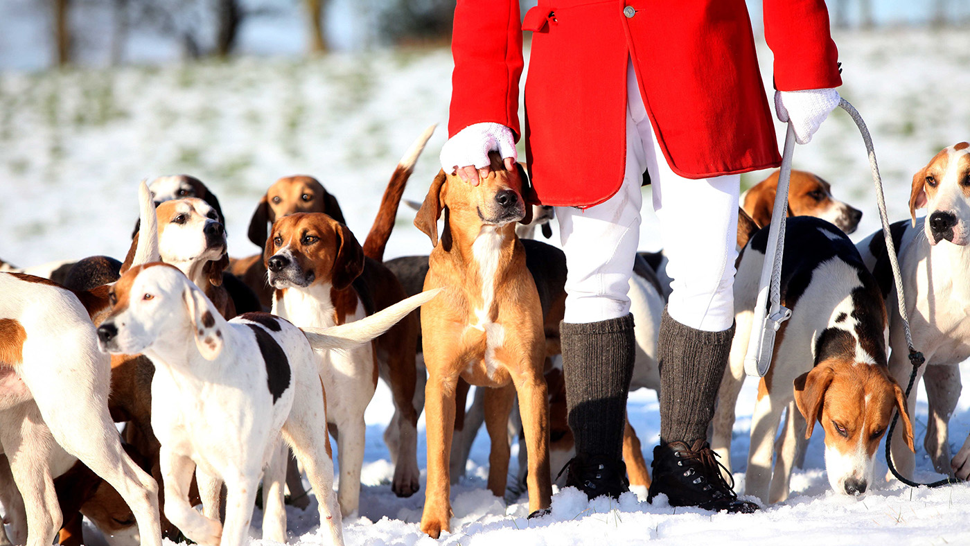 DAHNF6 Rivington boxing day hunt fox hunting dogs snow winter cold