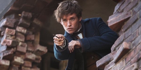 Newt Scamander