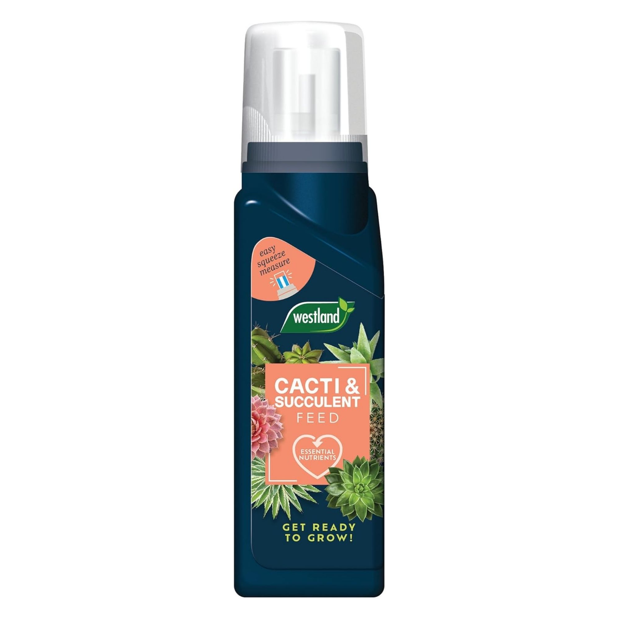 Westland Cacti &amp;amp; Succulent Feed Concentrate 200ml
