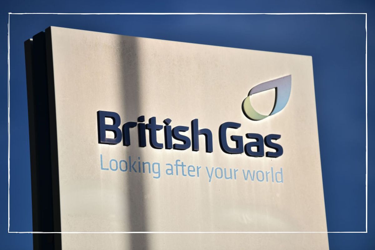 British Gas customer? Here's how you can get 50% off electricity on ...