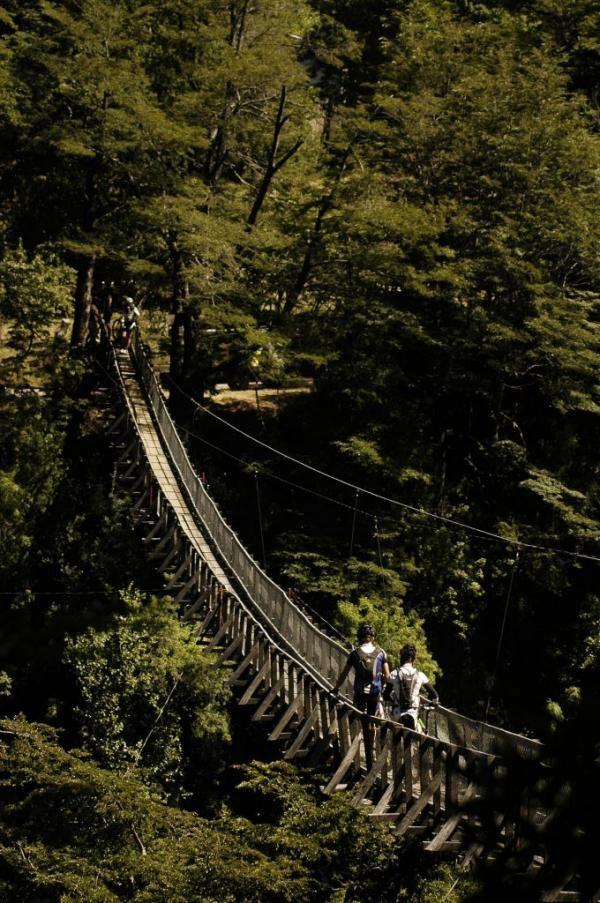 Riders cross a suspension bridge