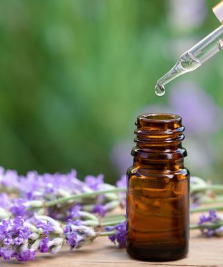 Lavender essential oil next to dried flower