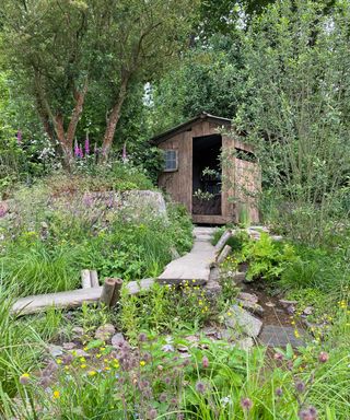 rewilding britain garden at chelsea flower show 2022