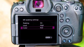 The menu on the back of a Canon EOS R6 showing the Focus Peaking options