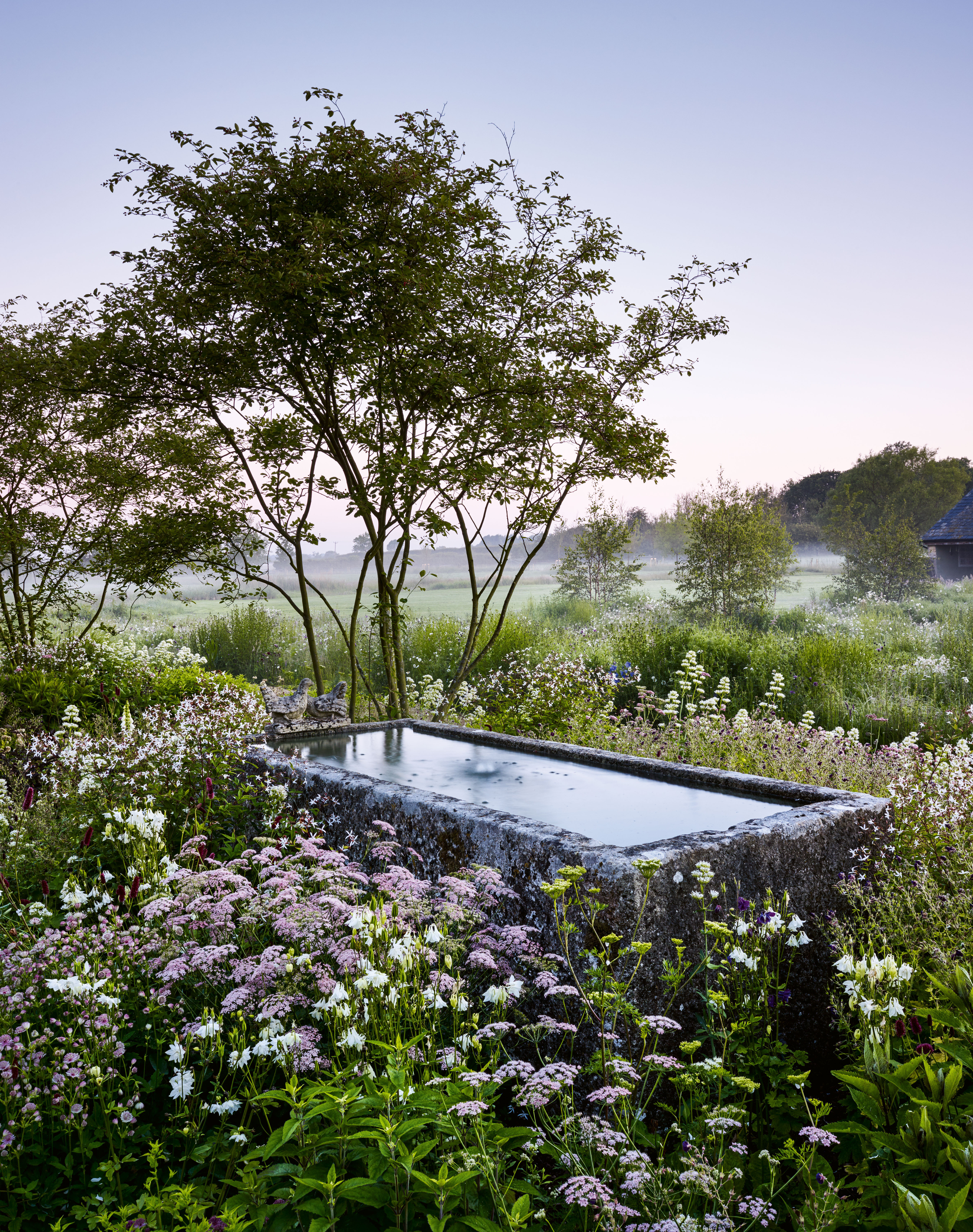 Photograph from Jason&#039;s Ingram&#039;s book How to Photography Gardens