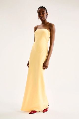 Omnes, Amdra Strapless Dress