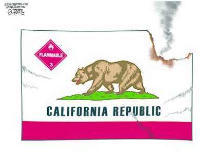 Editorial Cartoon U.S. California Republic Flag Flammable