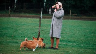 Queen Elizabeth II photographing her corgis at Windsor Park in 1960