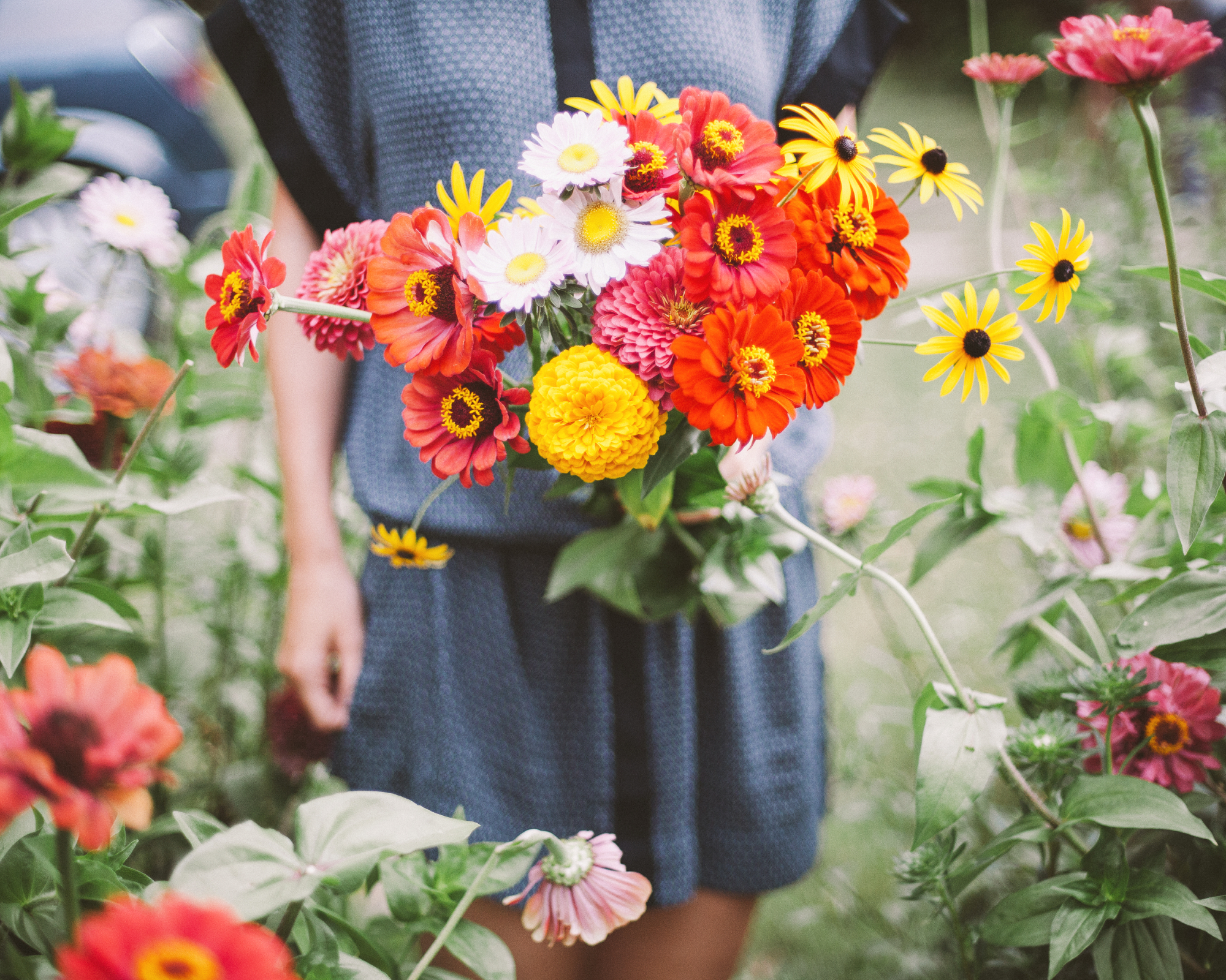woman holding a bouquet of homegrown cut flowers in the garden