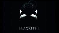 Blackfish
