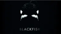 Blackfish