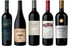 Premium Argentinian Malbecs