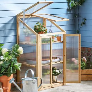 Aldi mini greenhouse in natural finish filled with various planters