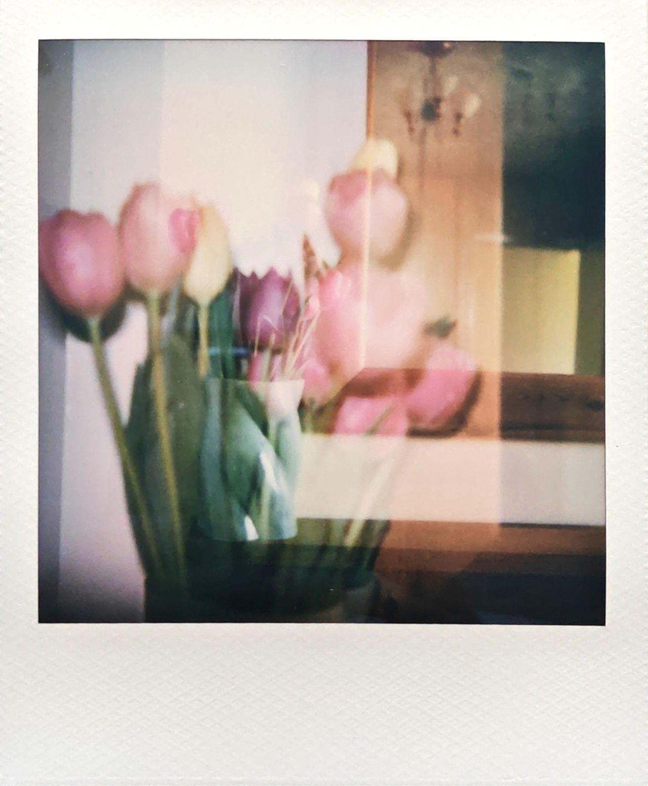 A selection of images captured on the Polaroid Flip instant camera by T3's Sam Cross