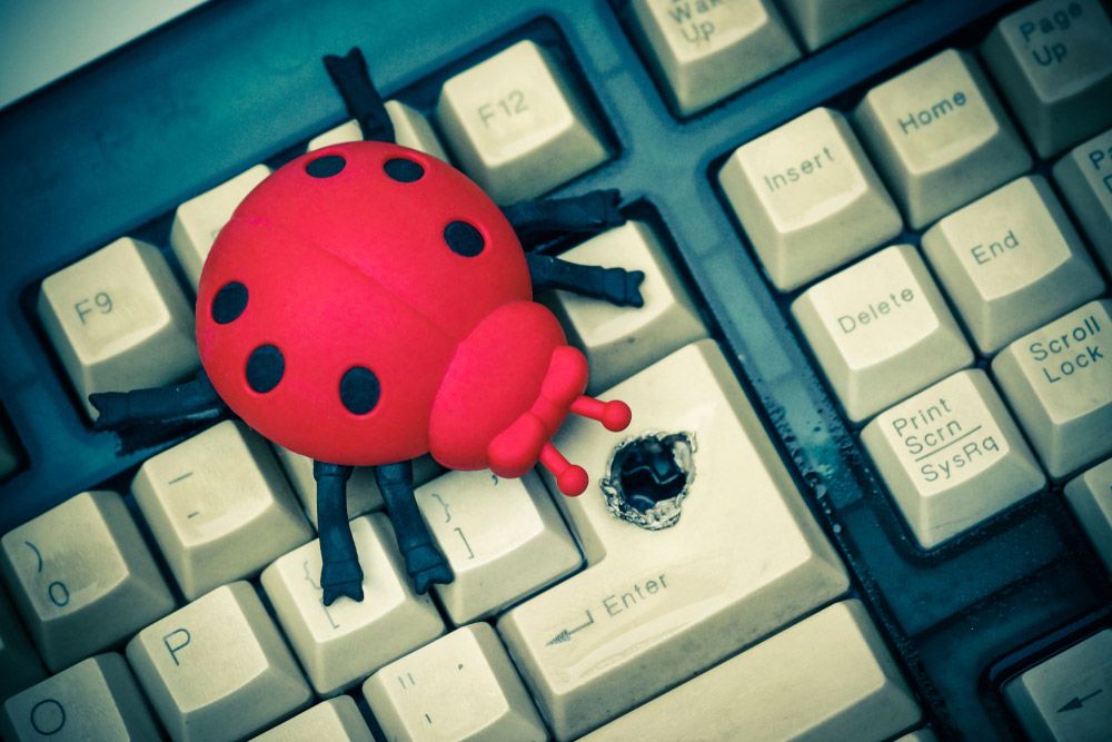 A plastic bug on a damaged computer keyboard.