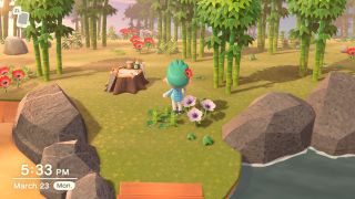 Animal Crossing New Horizons Island Bamboo
