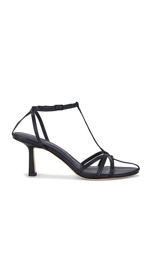 Aviary 70 Heel