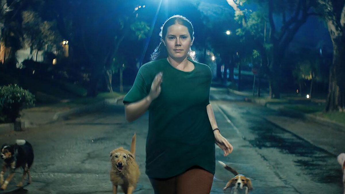 Amy Adams&#039; Mother runs down the street flanked by dogs in Nightbitch, one of January&#039;s new Disney Plus movies