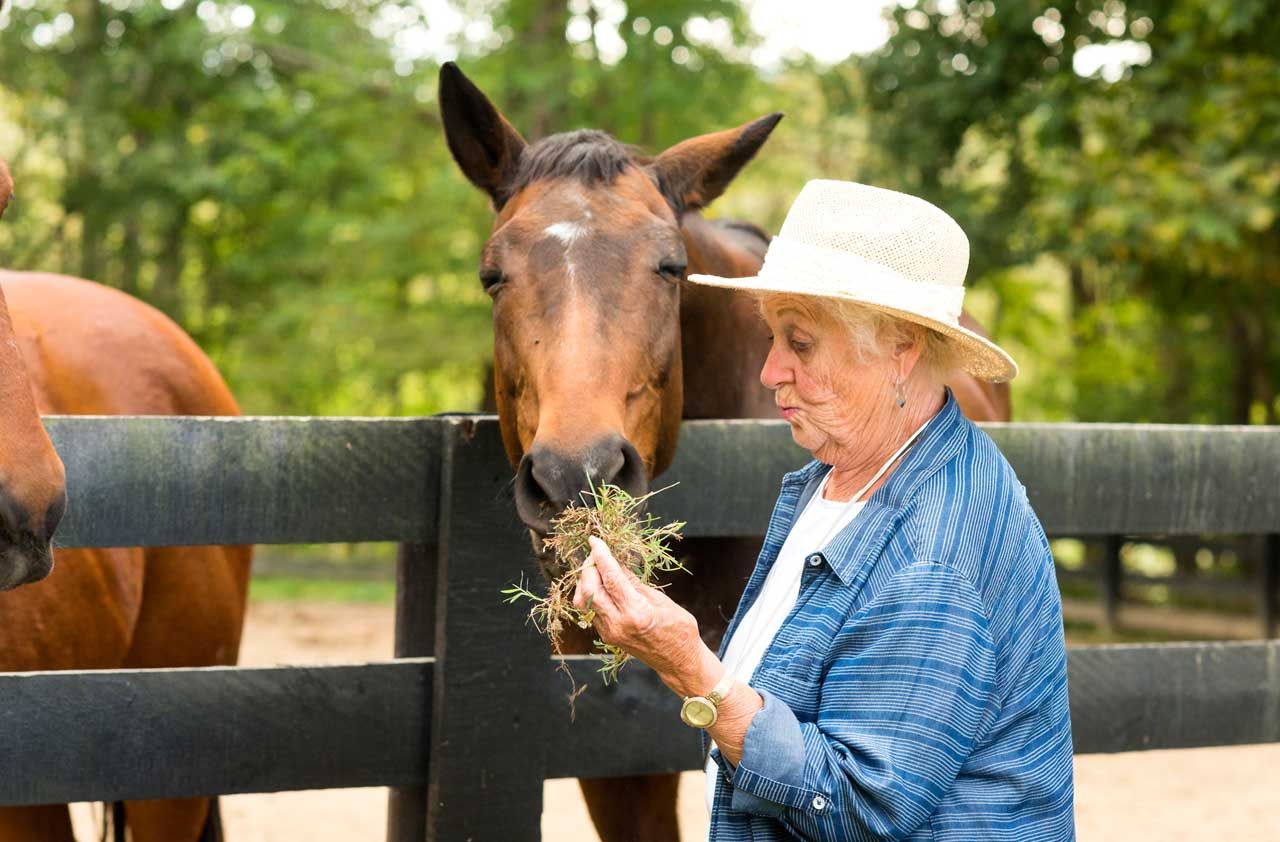 Kentucky Taxes on Retirees