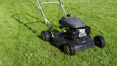 Best lawn mower