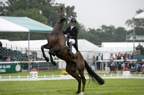 Bettina Hoy riding Lanfranco TSF during the dressage at Land Rover Burghley Horse Trials 2013