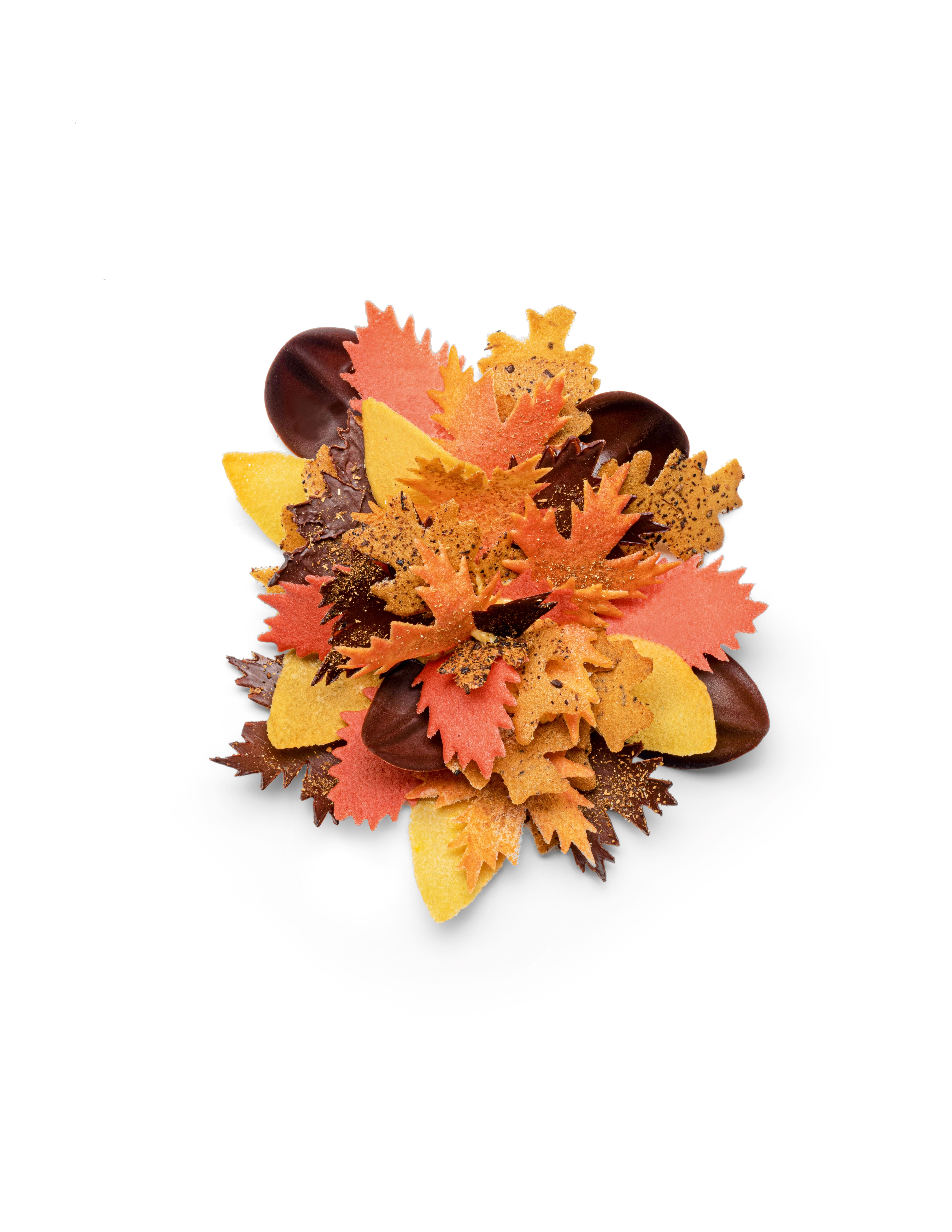 dish with leaves
