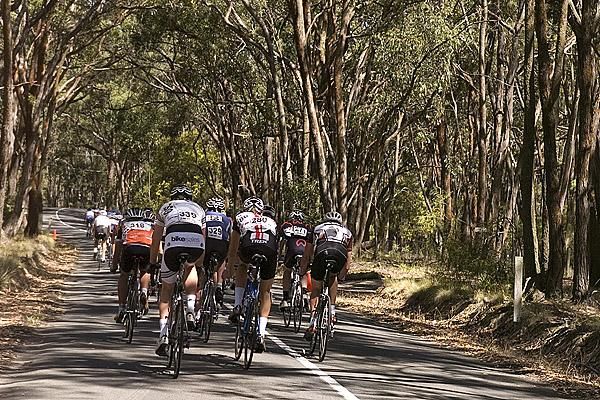 Riders descend beneath the trees on Gear Avenue where they would have appreciated