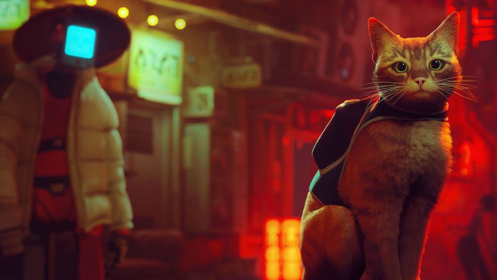 Stray finally gets a release date for Xbox | Windows Central