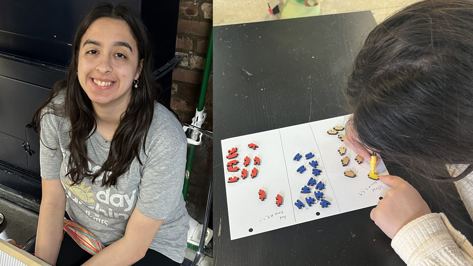 Grado Signature S550 (Eden II edition) headphones