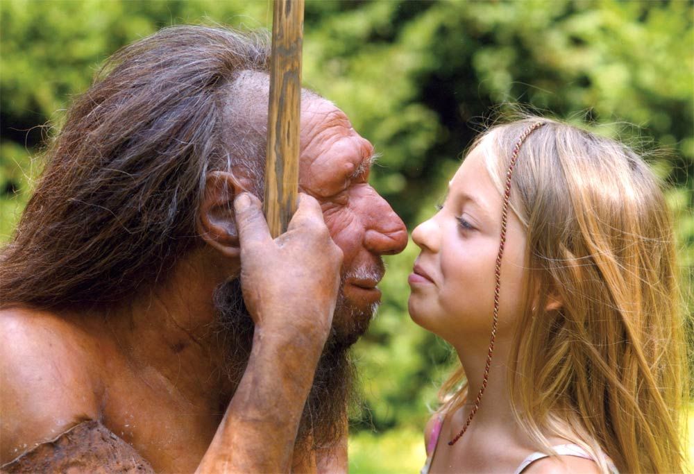 modern human and Neanderthal