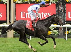 Americain wins the Melbourne Cup