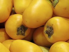 Yellow Cocona Fruit