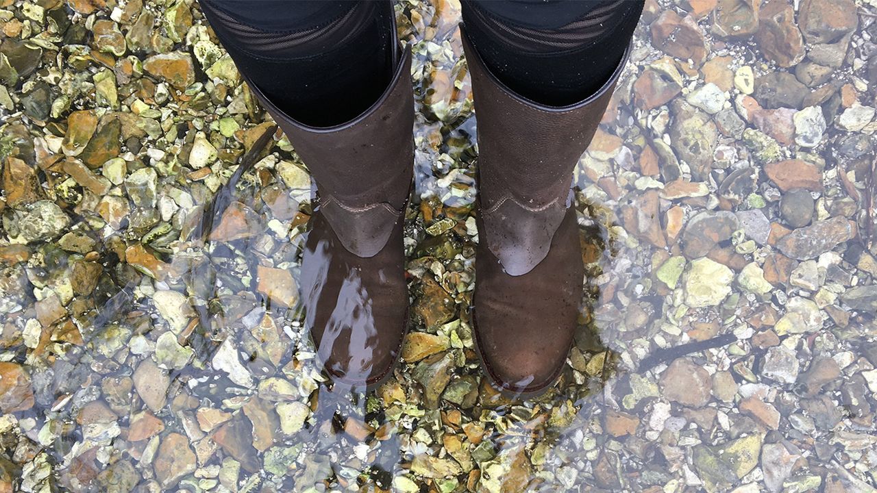 BareBack Footwear Quebec