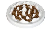 Lorde Slow Feeder Cat Bowls, one of the best slow feeder cat bowls