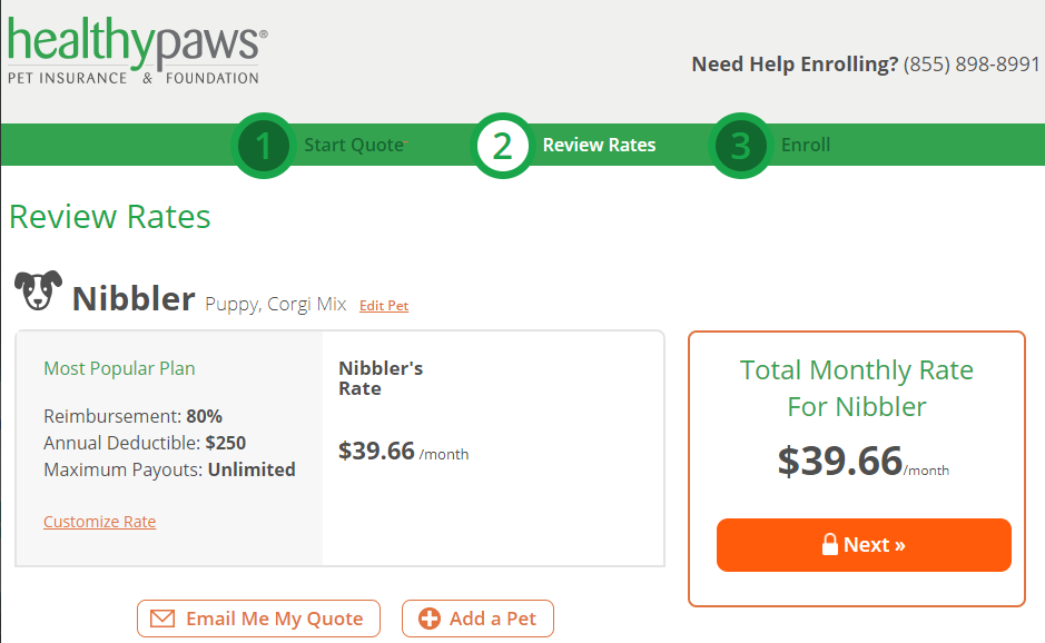 Pet Insurance