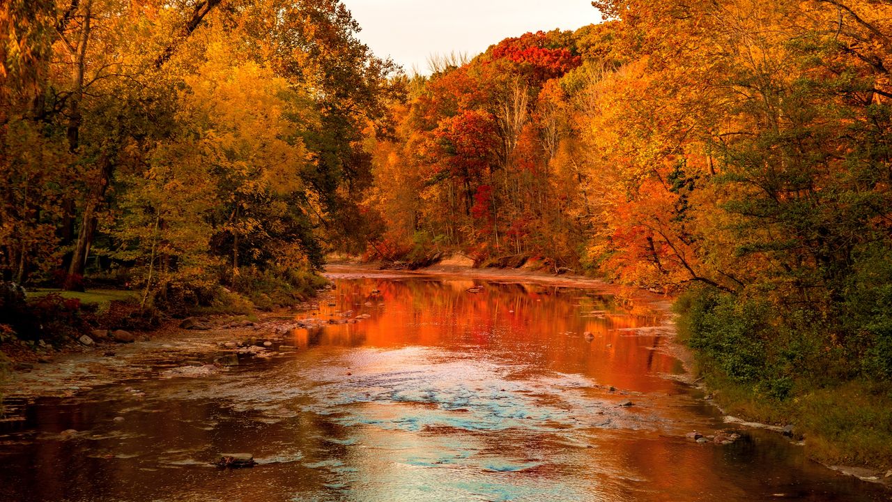 Fall leaves in lots of reds and oranges surrounding a lake.