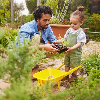 Daughter helps dad in the garden