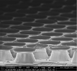 This image shows a microscopic view of the mushroom-shaped 'footpad terminators' on wall-crawling robots. The footpads are inspired by geckos and are made using techniques from the microelectronics industry.