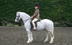 112 Chaswill Mascot (112) Rider Faith-Bruno Page aged 10yrs.