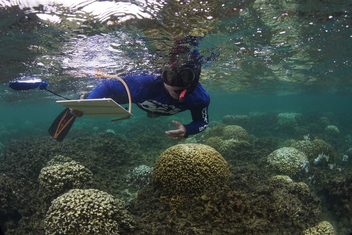 Chilling Photos Show Coral Bleaching Across The Globe | Live Science