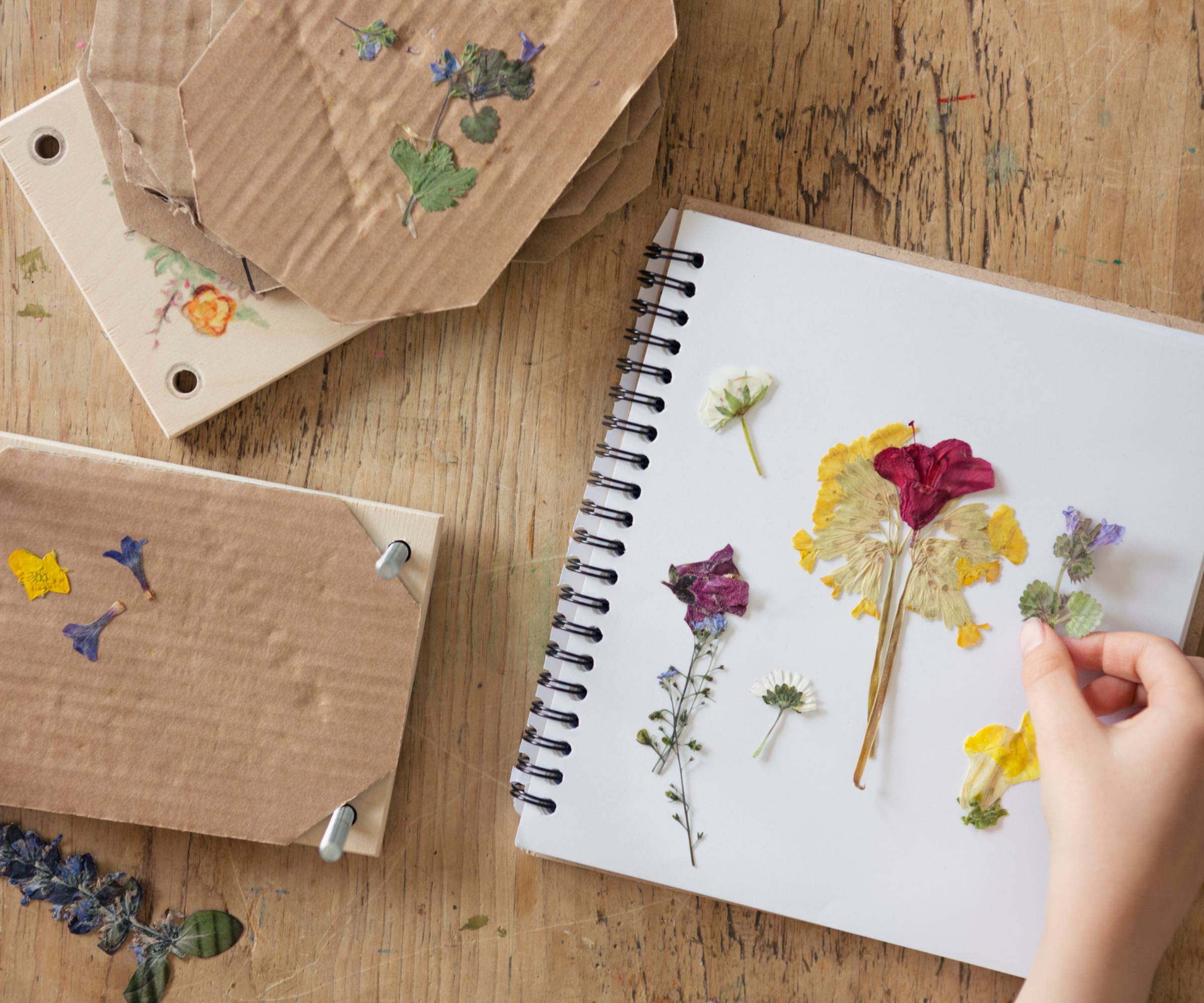 A hand places pressed flowers in a notebook