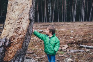 Discover nature kids activities