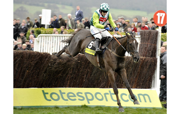 Sam Thomas and Denman clear the last fence on their way to winning the Totesport Cheltenham Gold Cup Chase by 7 lengths during the 2008 Cheltenham Festival in Cheltenham, England on 14th March 2008. (Photo by Leo Mason/Popperfoto/Getty Images) Horse Racing &amp;ndash; Cheltenham Festival &amp;ndash; Gold Cup