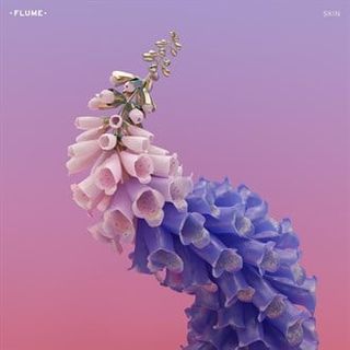 Skin — Flume