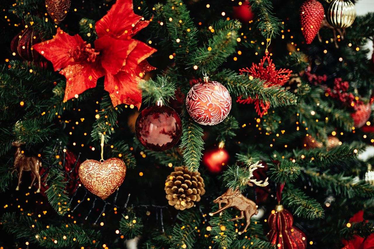 closeup of decorated christmas tree with poisettias and gold ornaments