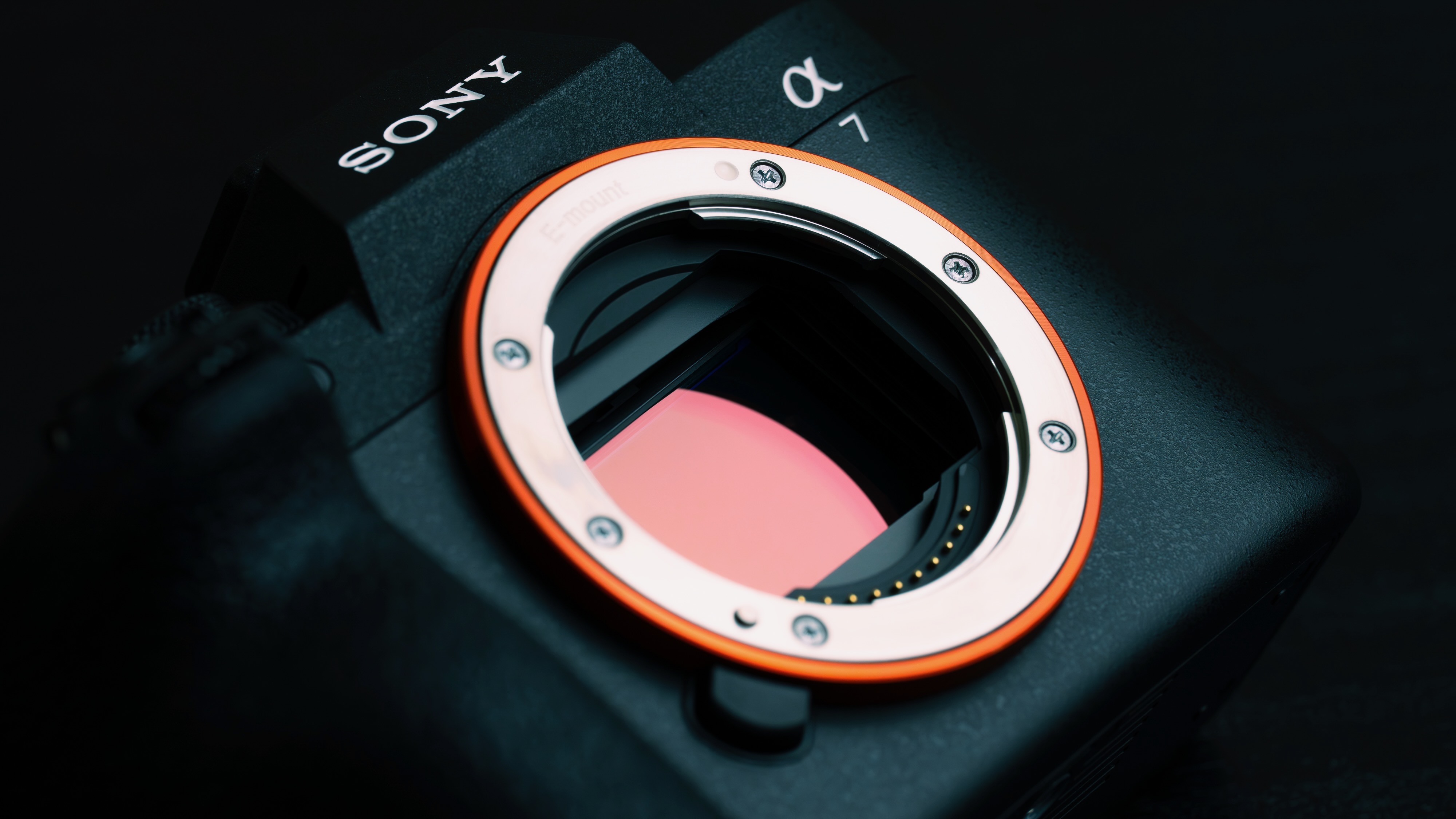 The sensor inside the Sony A7 V camera