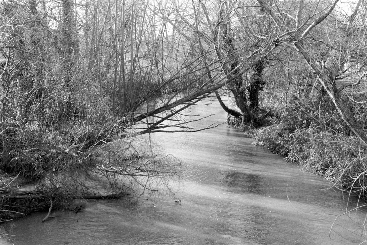 River with trees leaning over it taken on Ilford HP5 Plus 35mm film