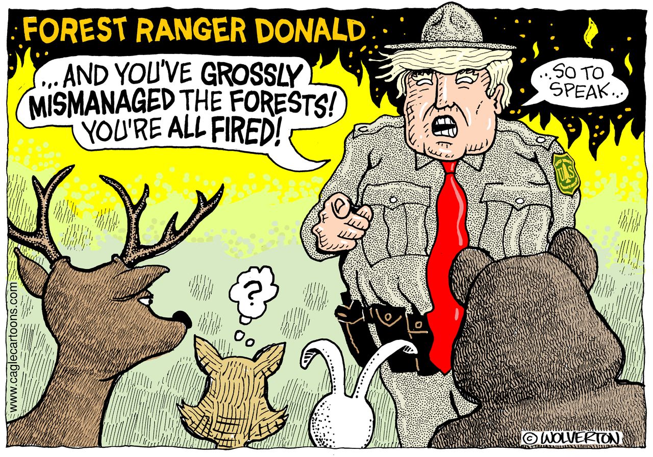 Political cartoon U.S. Trump California wildfires forest management animals you&amp;#039;re fired